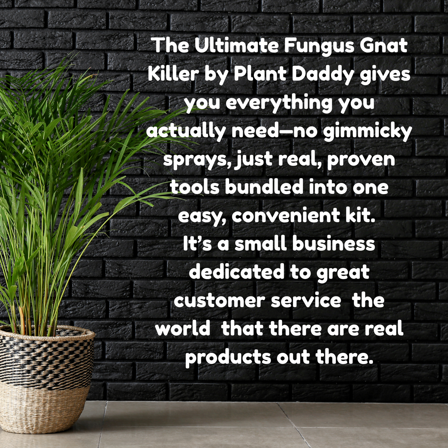 Fungus Gnat Kit + Water Conditioner