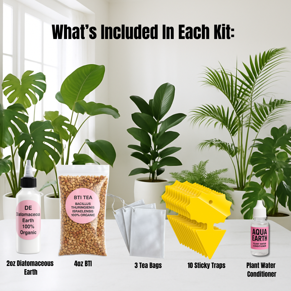 gnat repellent plants indoor Fungus Gnat Kit + Water Conditioner