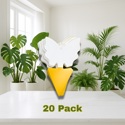 20-Pack Non-Toxic Fungus Gnat Sticky Traps