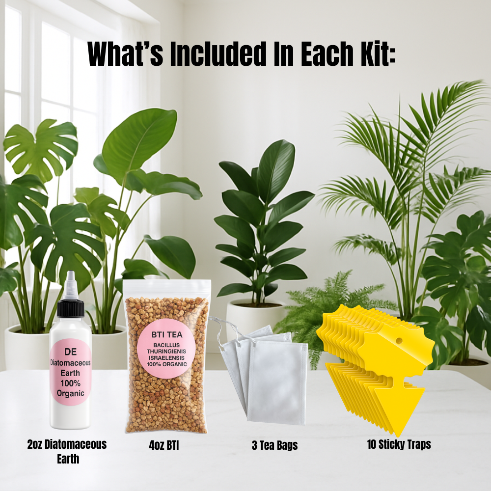 bti for house plants Fungus Gnat Kit (Triple Pack) 40%OFF