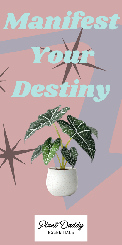 Manifestation T-Shirt