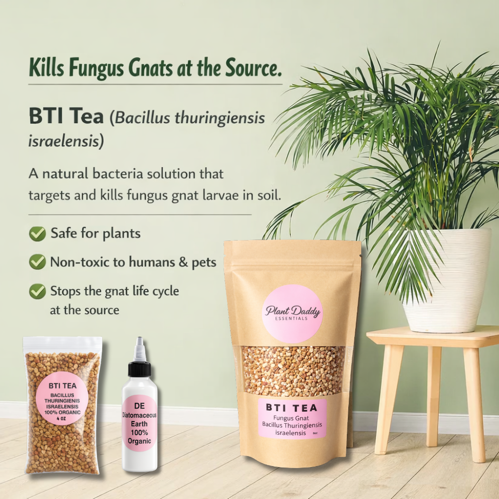 killing fungus gnats indoor plants Fungus Gnat Kit 20%OFF – Plant Daddy Essentials