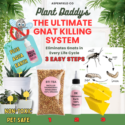 Fungus Gnat Kit + Water Conditioner
