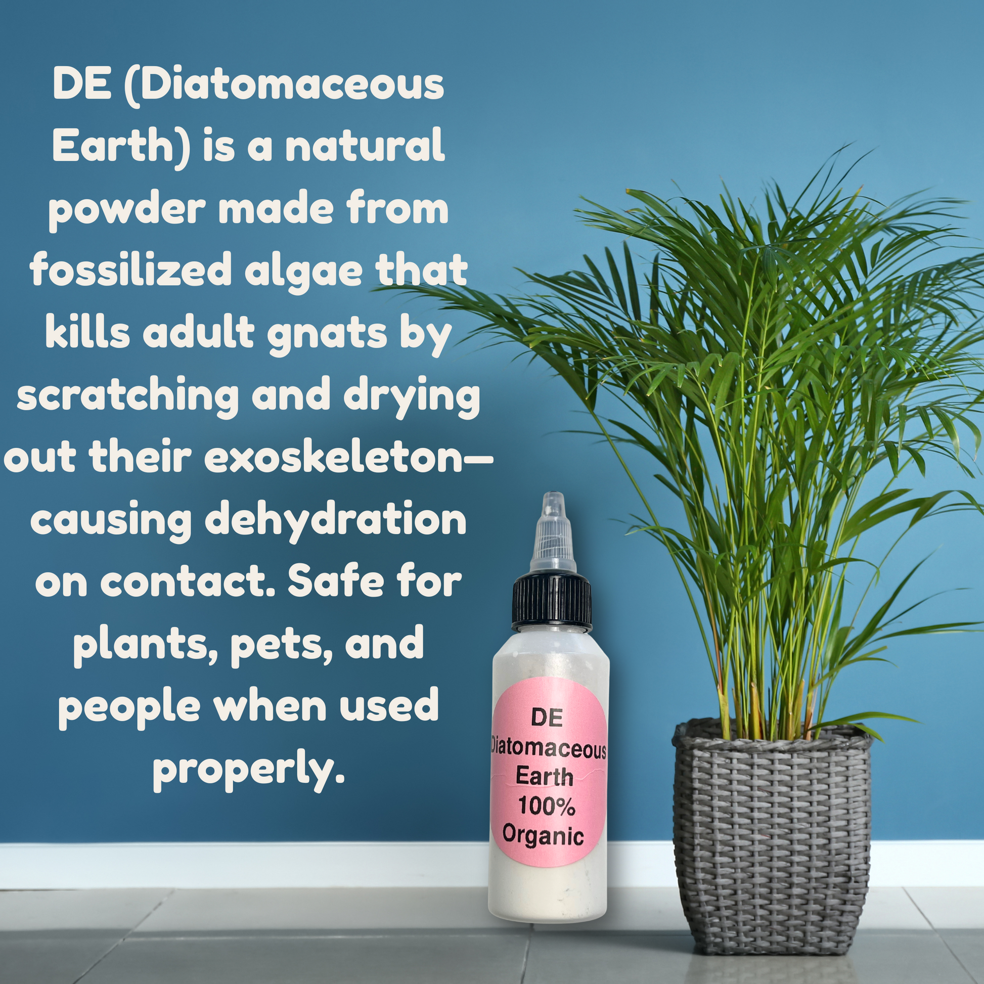 does diatomaceous earth fertilize plants 2 Large Bottles of Diatomaceous Earth 4oz each – Plant Daddy Essentials